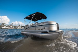 Harris Pontoon on the shore